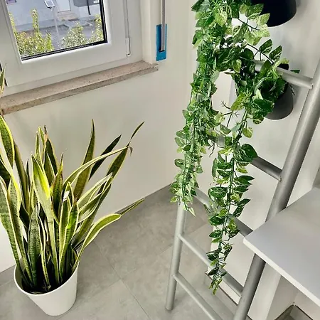 Un Posto Al Mare Marina 3*