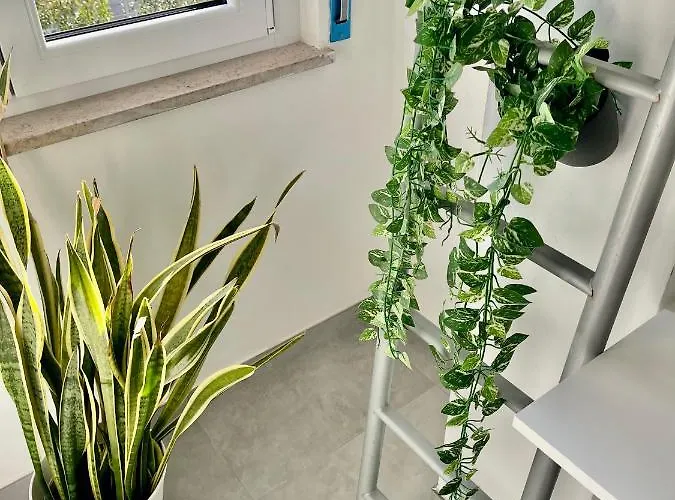 Un Posto Al Mare Marina 3*